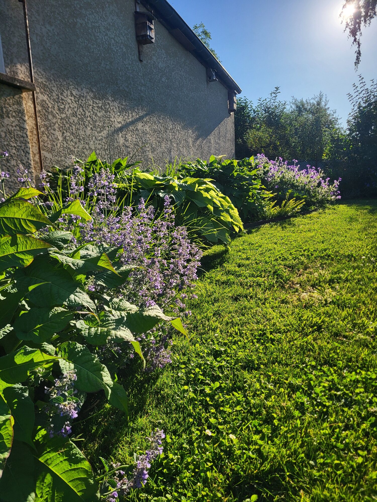 Détail de l’aménagement du jardin avec piscine à Meyzieu 3