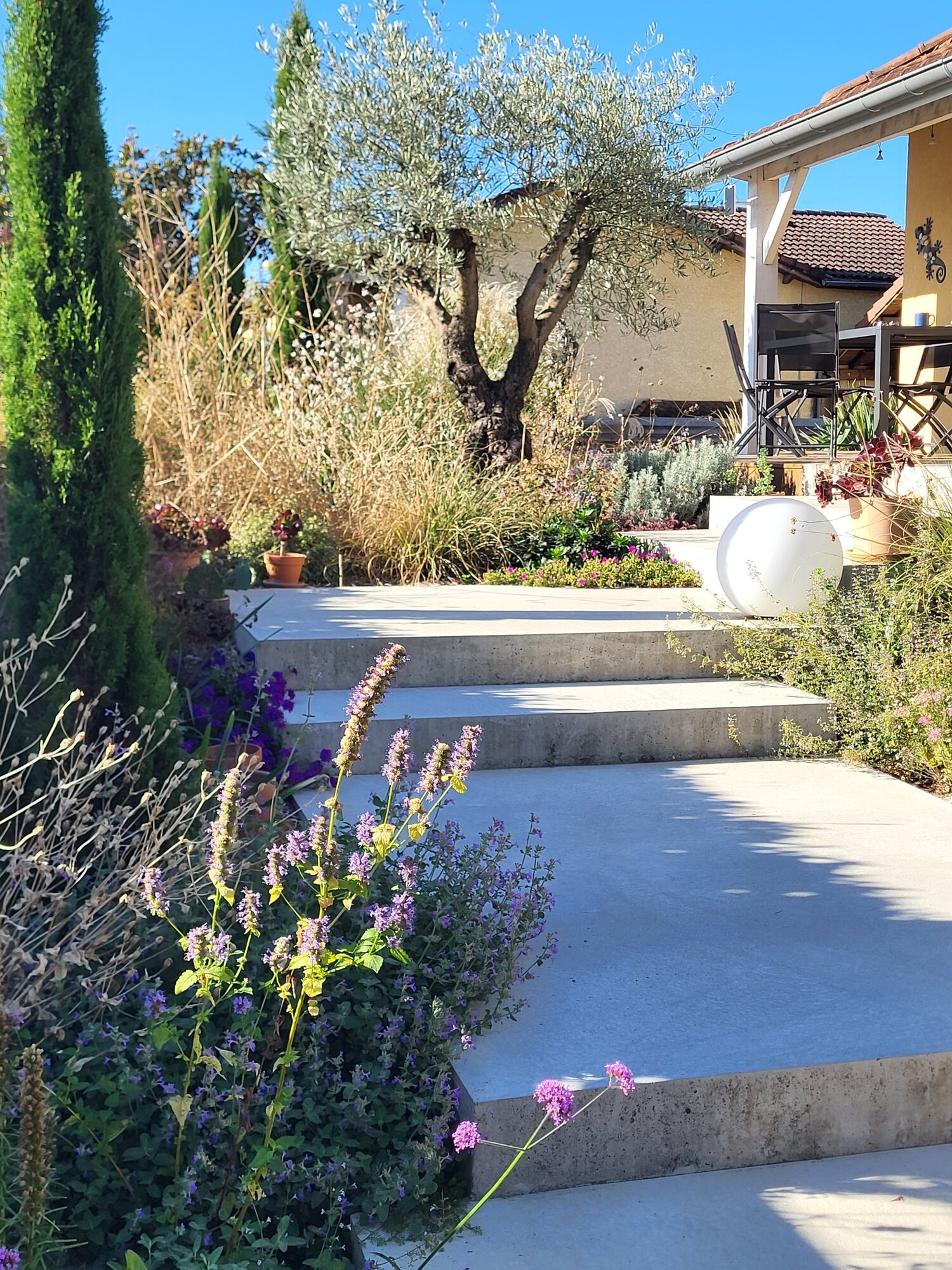 Détail de l’aménagement du jardin avec piscine à Meyzieu 5
